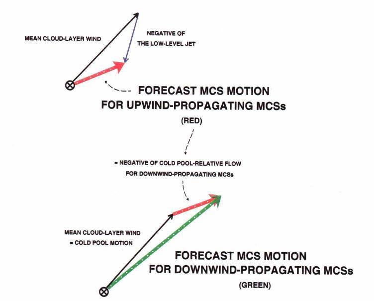 Vector Relationship among Cell Movement, MCS Movement, and Propagation